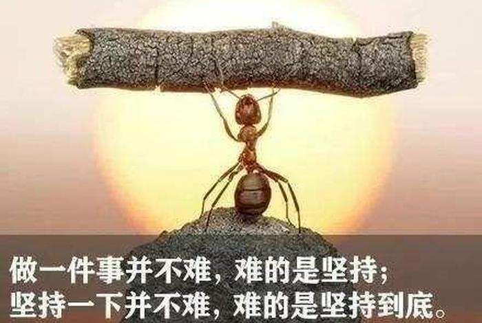 坚持