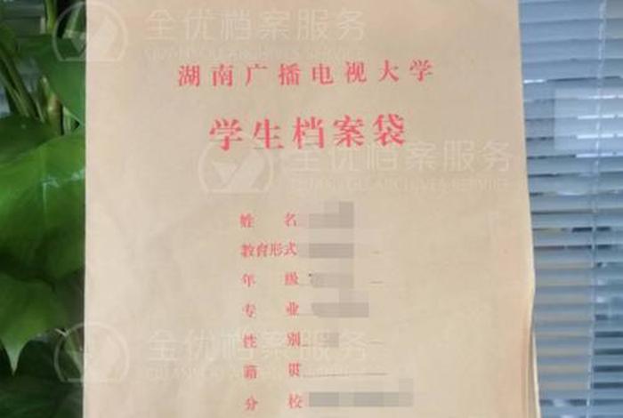 学习材料（学籍材料丢失如何处理）