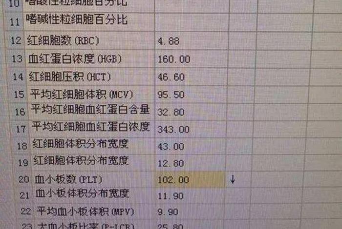 平面血小板体积高 血小板体积平均体积偏高