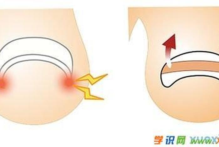 生活学识；学到生活知识
