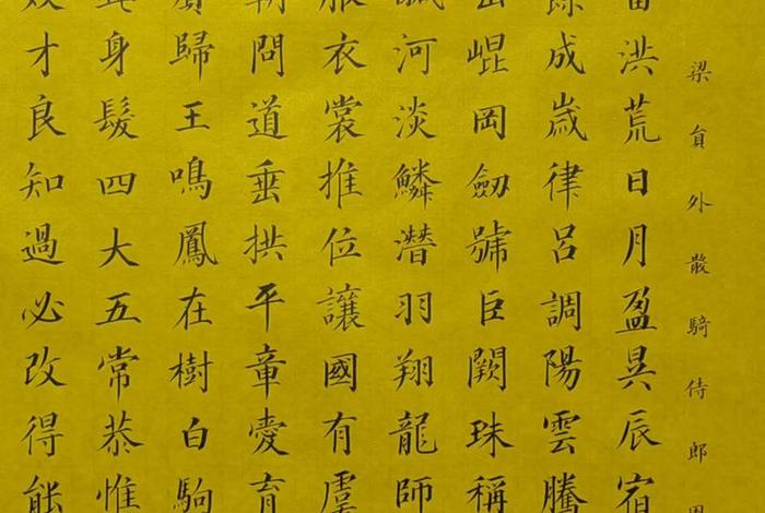 专心