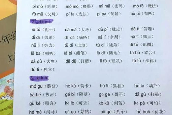 语文阅读中学习拼读 - 阅读的拼读教学