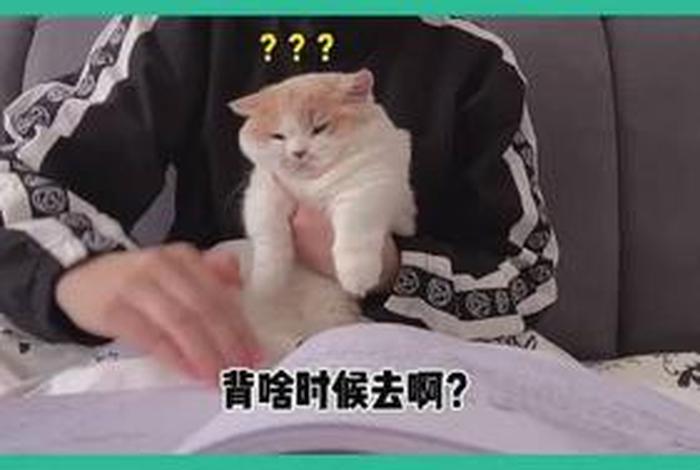 学习的意义搞笑视频