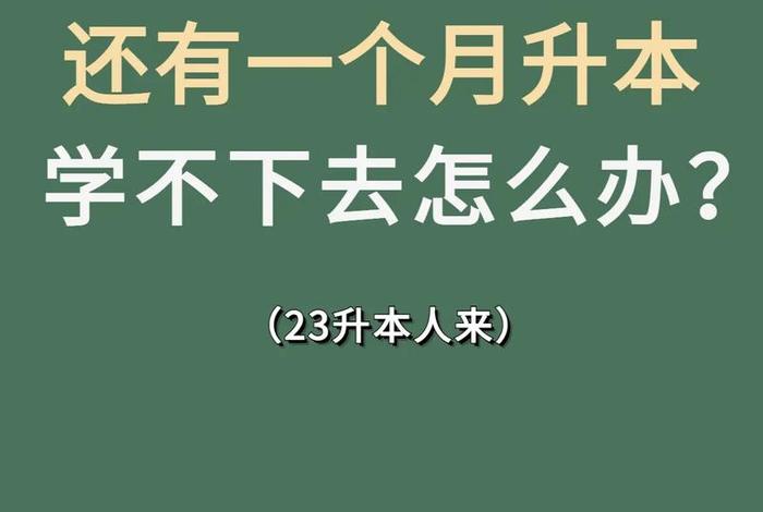 怎样才能学下去、怎么才能学下去