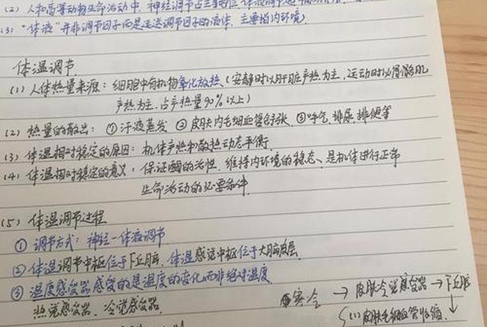 高中生学习资料 高中生的资料