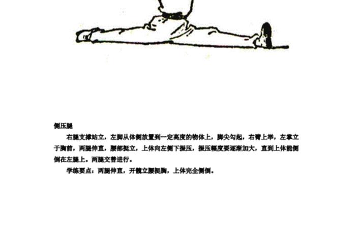 中国武术怎么自学 - 中国武术怎么自学视频教程