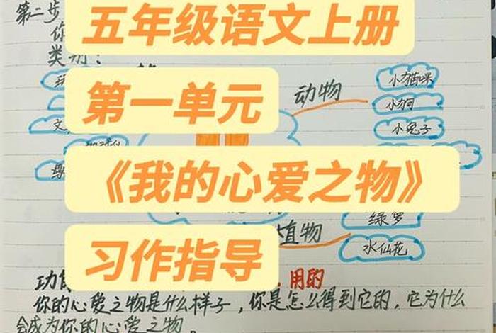 写作提纲图片（写作提纲图片我的心爱之物）