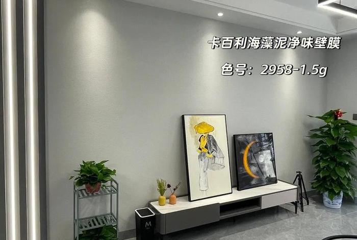 学习艺术漆、艺术漆培训哪里有？要比较专业的