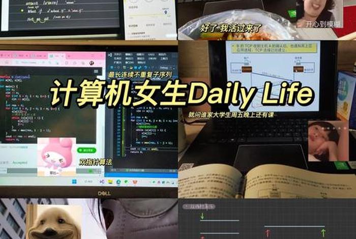 网课学习学什么 网课可以学什么