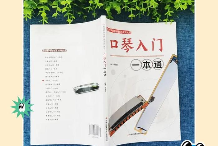 学习口琴入门直播间、口琴入门课程