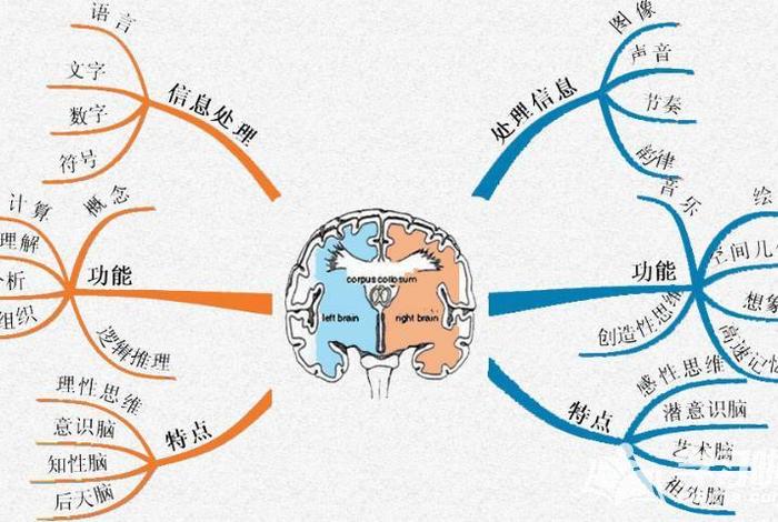 记忆学习法、记忆法训练十大原理