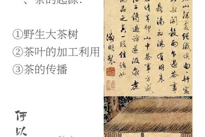 茶学