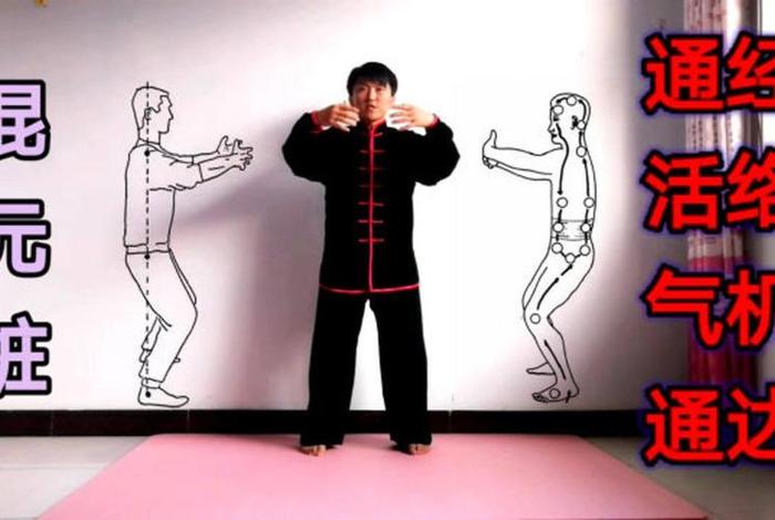 桩功教学视频（混园桩站桩功教学视频）