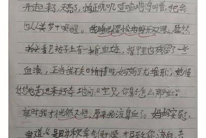 学生一天的计划 学生一天的计划日记100字