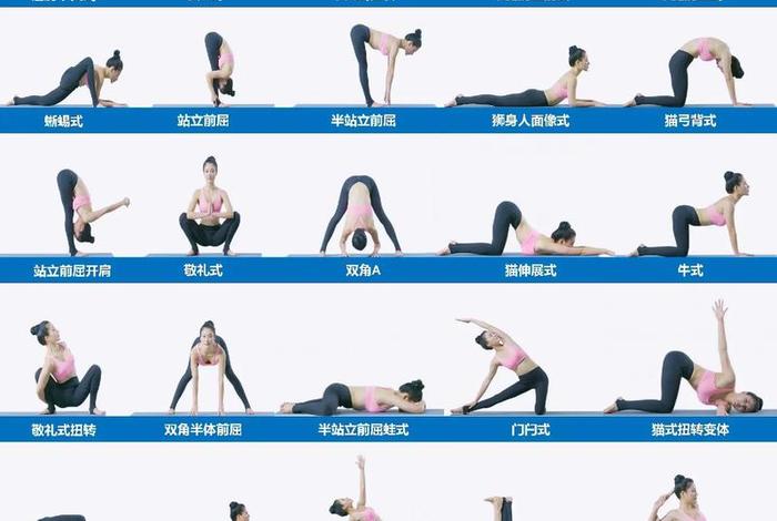 学习瑜伽视频教程全集（学练瑜伽视频）
