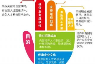 业务学习心得体会教师 - 教师业务工作心得体会