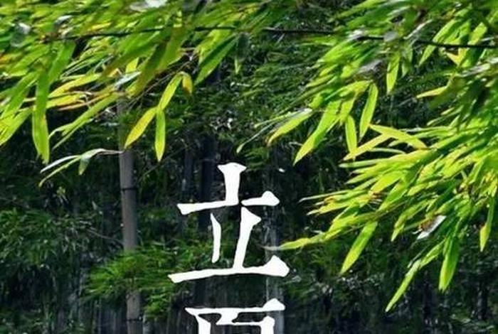 5月有什么节气 五月份有什么节气
