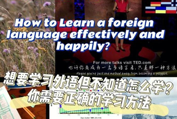 学习英语机构还有么（去机构学英语效果好吗）