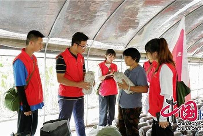 学习缪家村的心得体会、缪家村乡村振兴学院
