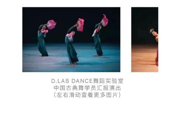 古典舞学习班；古典舞基础班