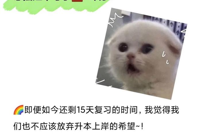 学习心态崩溃了怎么办（心态崩了学不下去）