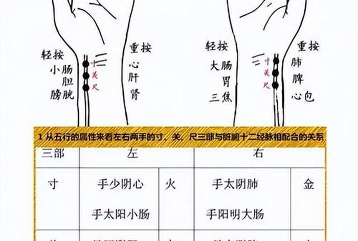 学中医如何入门；学中医如何入门把脉
