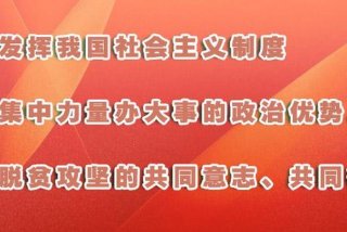中国的学习理论 中国当今的理论学研究,至少有两种基本取向