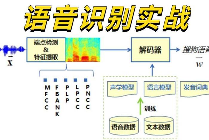 语音学语音系统最新版 语音学学糸统