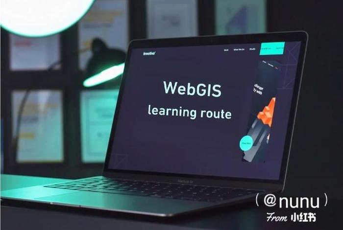 从零开始学习webgis；webgis课程
