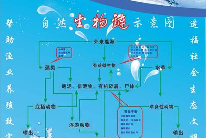 养殖学习资料水产，水产养殖基础理论知识