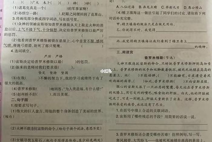 《语文学习报》，学语文报答案