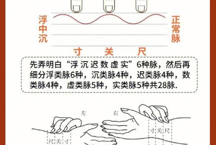 学中医如何入门；学中医如何入门把脉