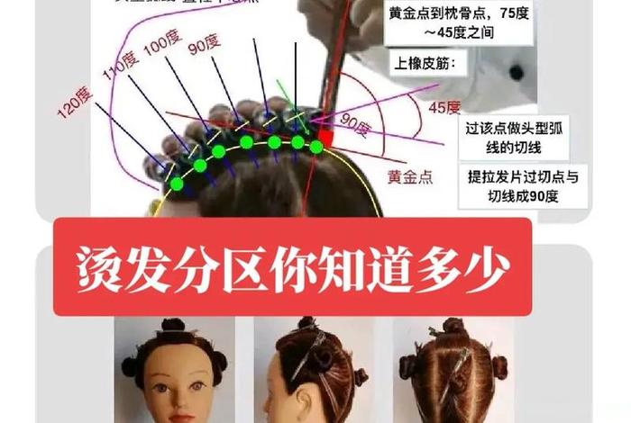 学美发的最基本知识（学美发的最基本知识有哪些）