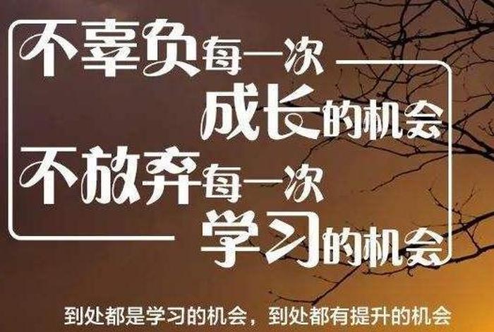 关于学技术的励志句子、学技术励志语