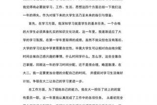 个人小结大学生 - 学年个人小结大学生