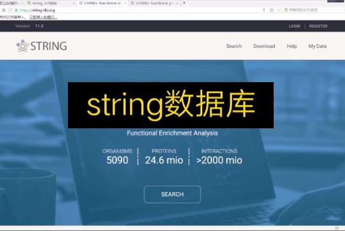 学习数据库网站，数据库网站有哪些