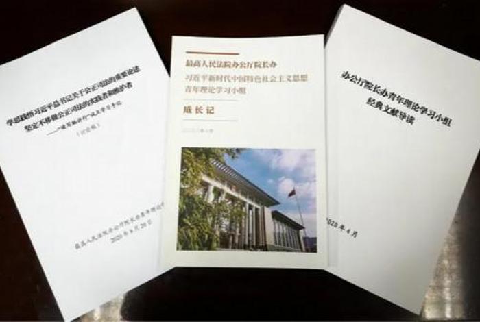 青年理论学习心得体会；青年理论心得800字
