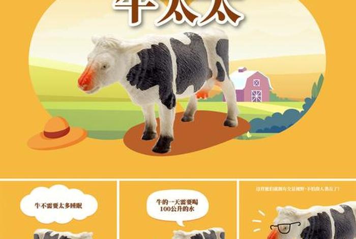 学习关于牛的知识（有关牛的知识）