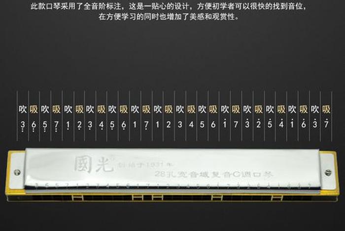 口琴学习微信公众号；口琴公众号有哪些