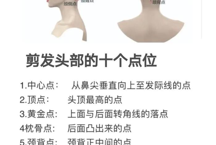 学美发的最基本知识（学美发的最基本知识有哪些）