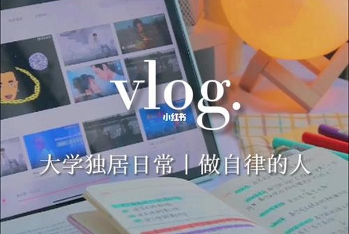自律学习vlog - 自律日常vlog