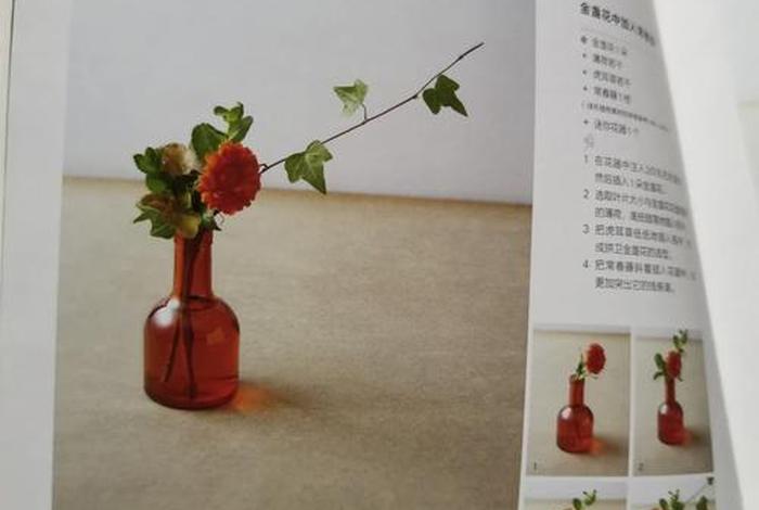插花学习 学插花的教程
