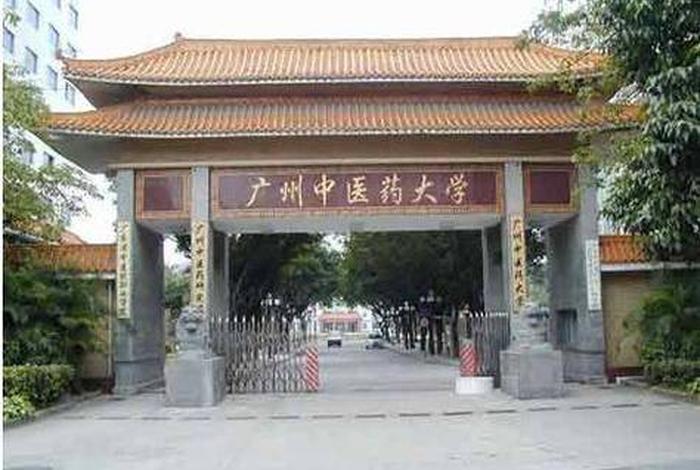 成人想学中医去什么学校、成人想学中医去什么学校药师好