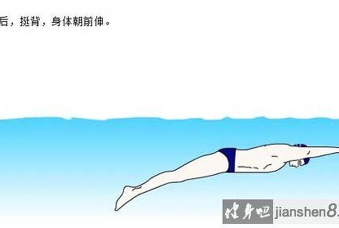 游泳教学视频、自游式游泳教学视频