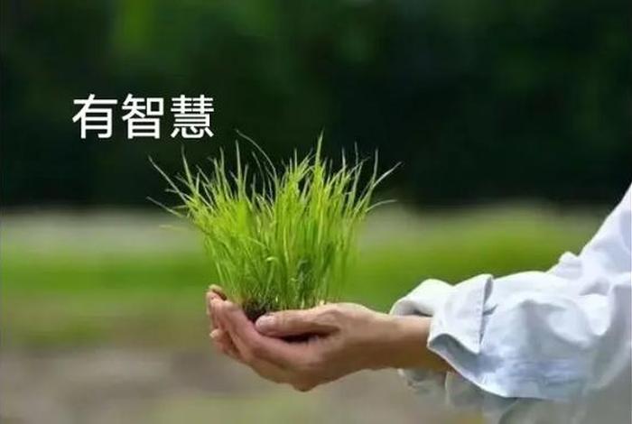 智慧