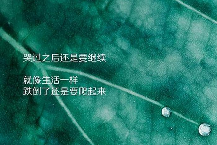 继续