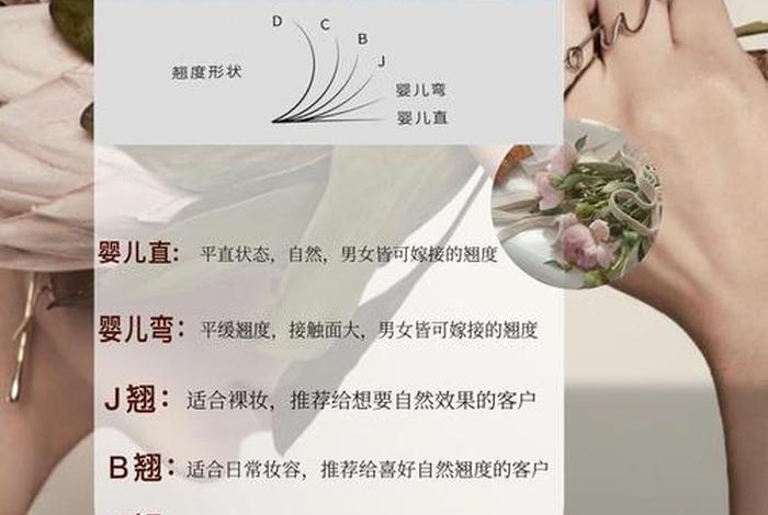 美睫基础课程知识 美睫课程培训资料