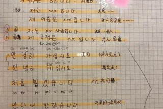 世宗韩语语法学习；世宗韩语是什么意思