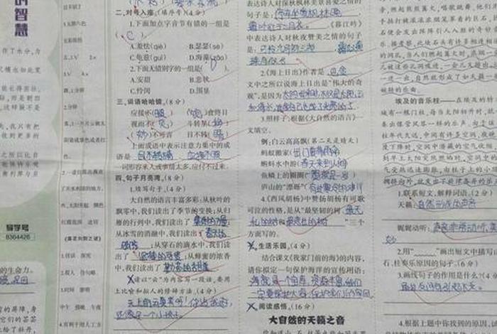 中学生学习报答案 - 中学生报纸答案