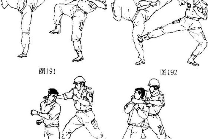 学习格斗基本动作；格斗基础动作